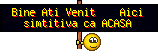 .bvacasa.