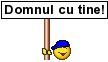 .domncut.