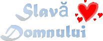 .slavădomn.