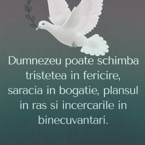 .dbi.