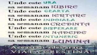 .iertare.