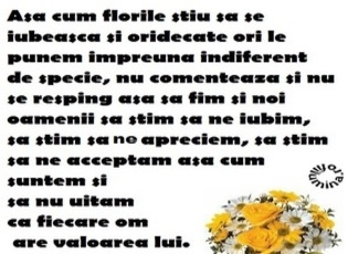 .valoare.